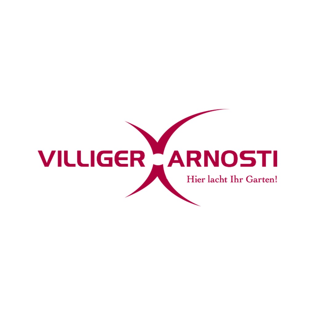 (c) Villiger-arnosti.ch